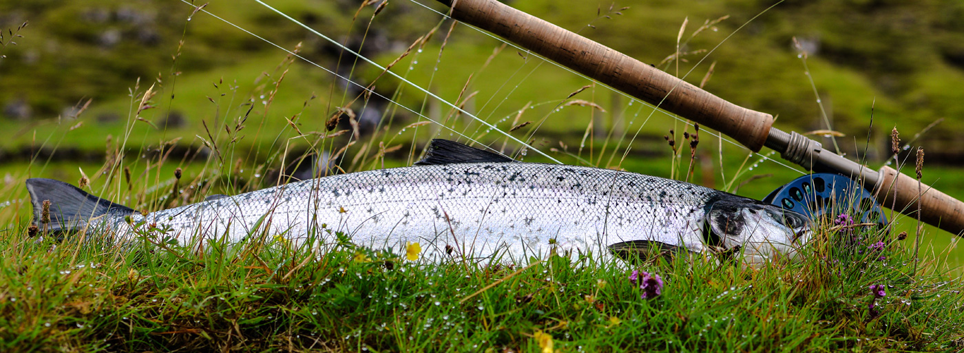 Fishing regulations